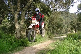 XT350