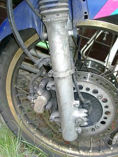 Africa Twin
